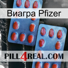 Виагра Pfizer 05